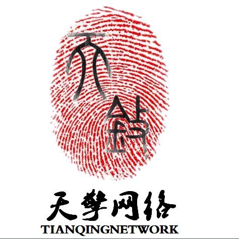 江西天擎网络科技有限公司