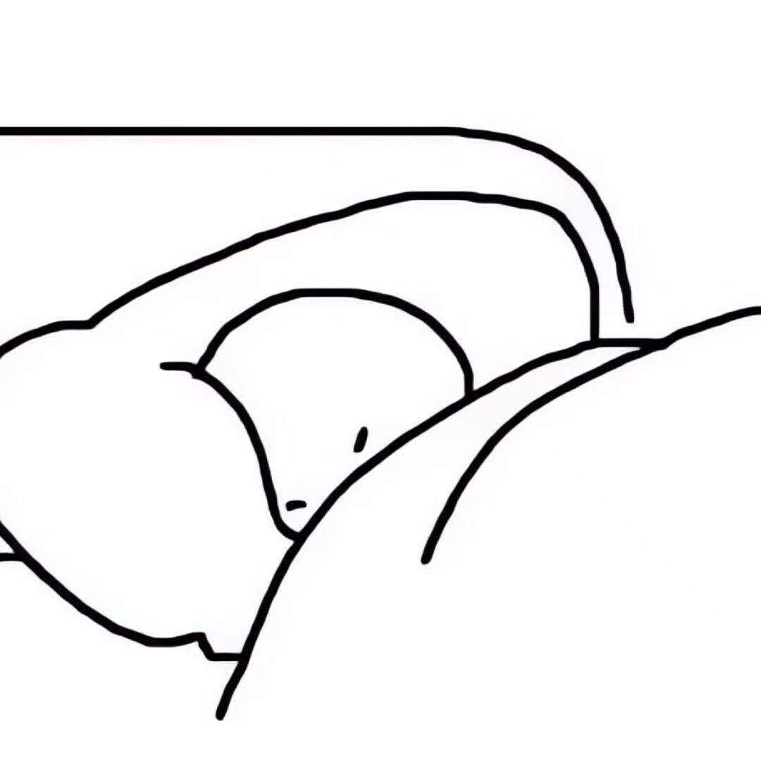 小九的小小九
