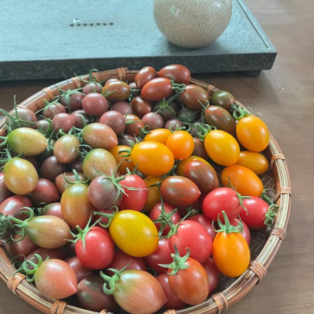 海丰艺梵生鲜屋