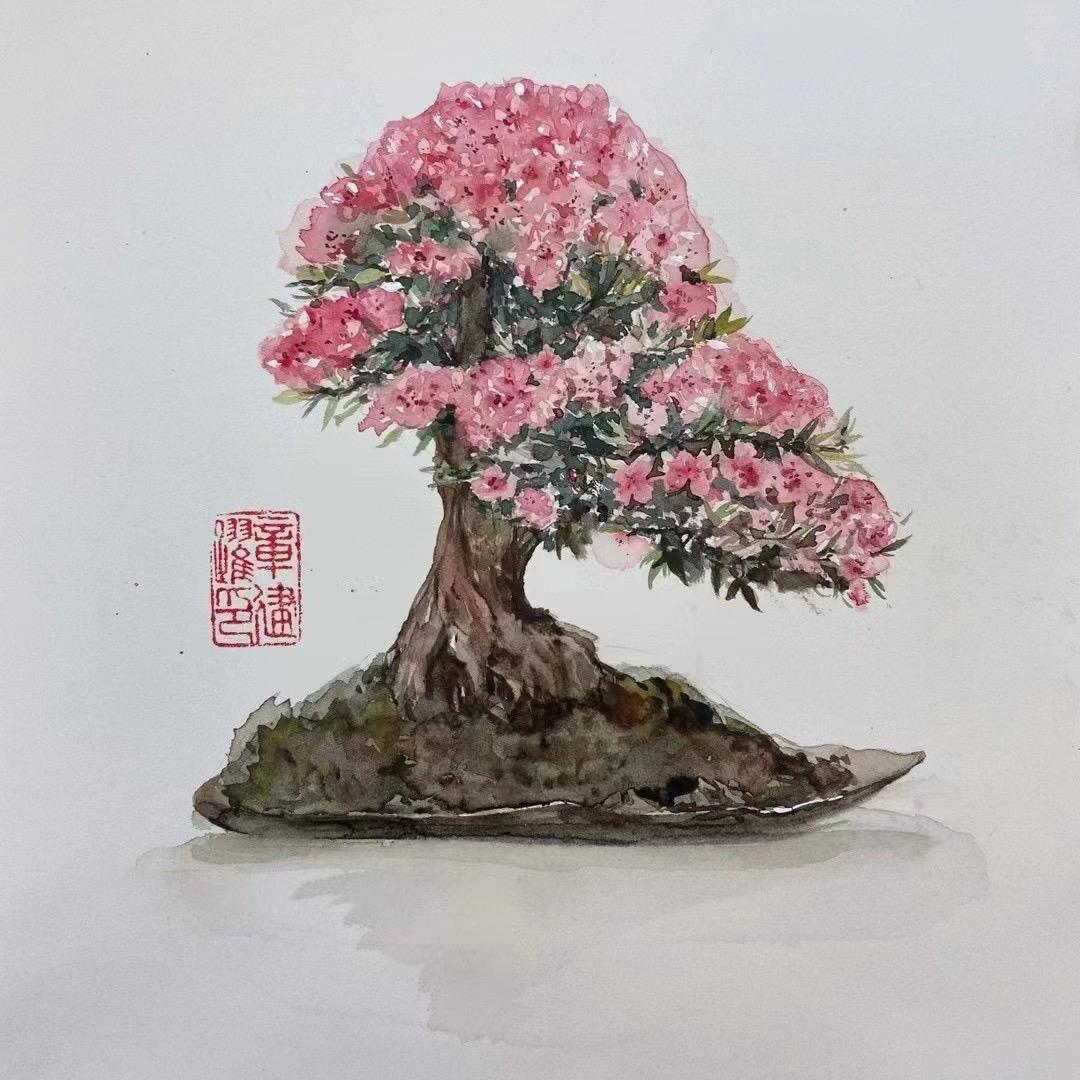 弎元盆栽