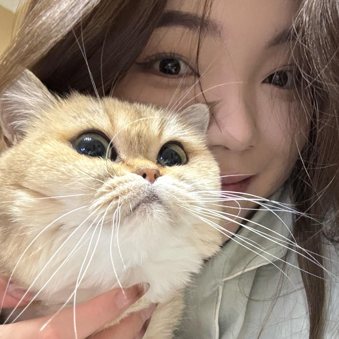 肆月拾叁✨