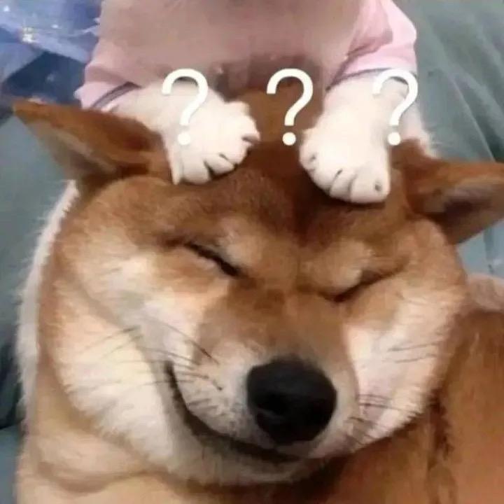 🌈🐷头人