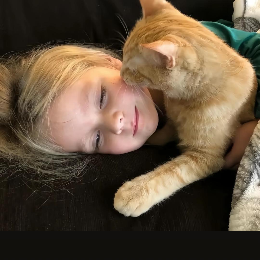 罗密欧与猪过夜