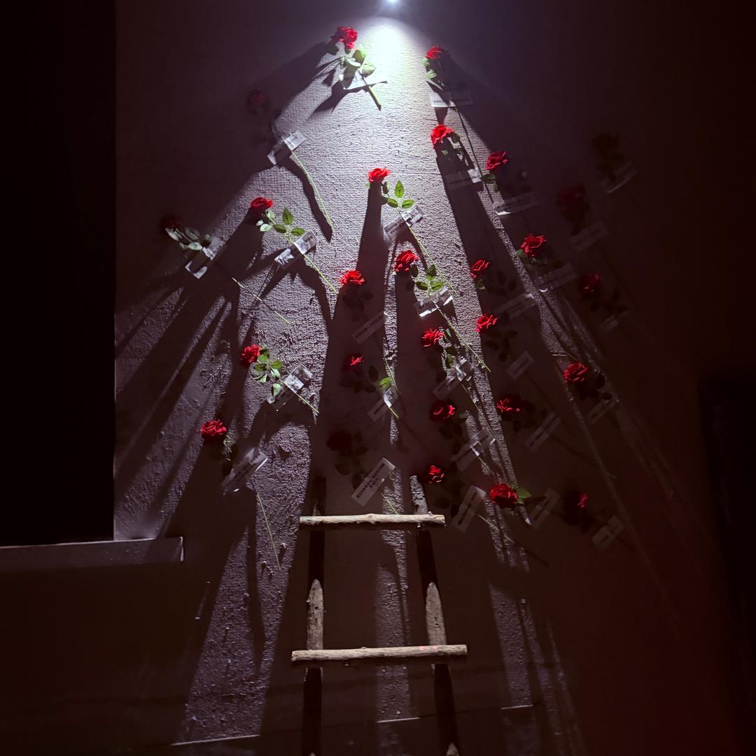 失眠招待所官方号