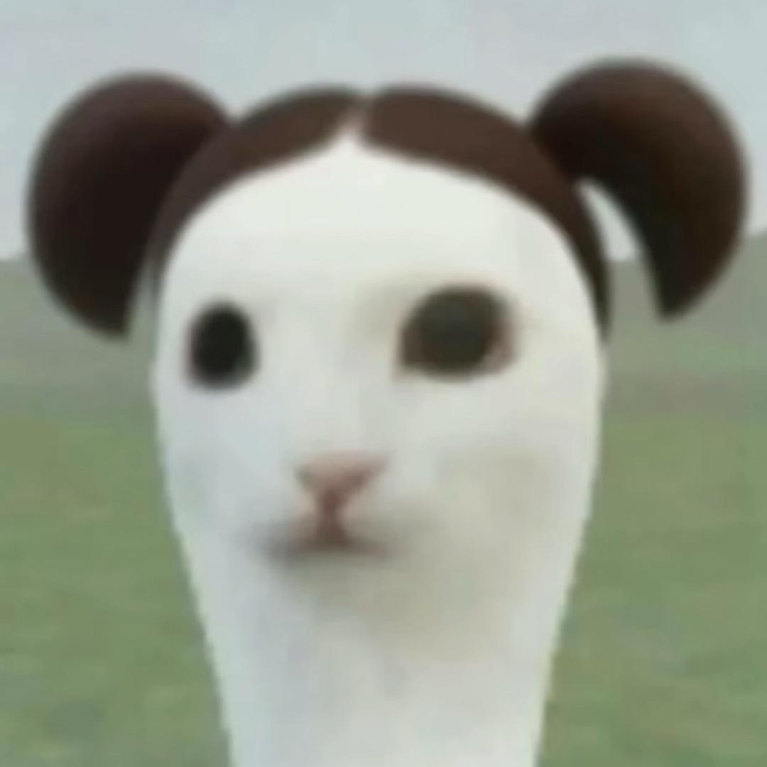 我好像有点死了