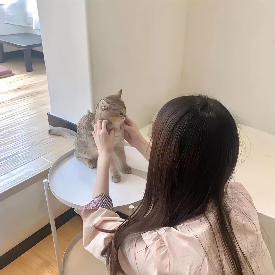 陈子汁