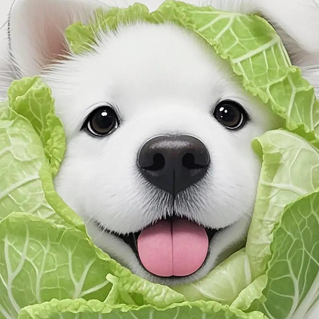 菜狗猛男💘（地铁逃生）