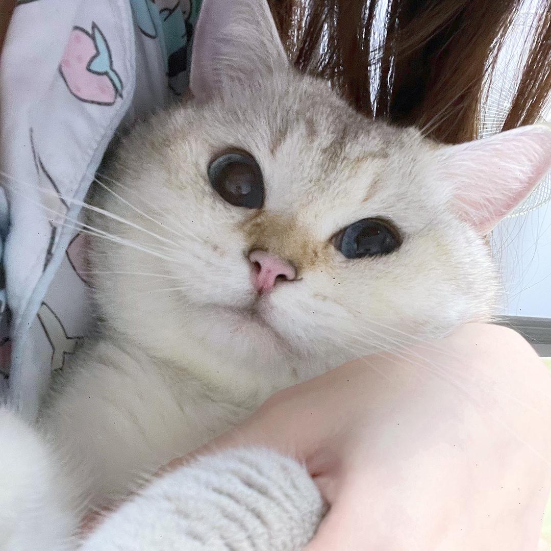 唯一