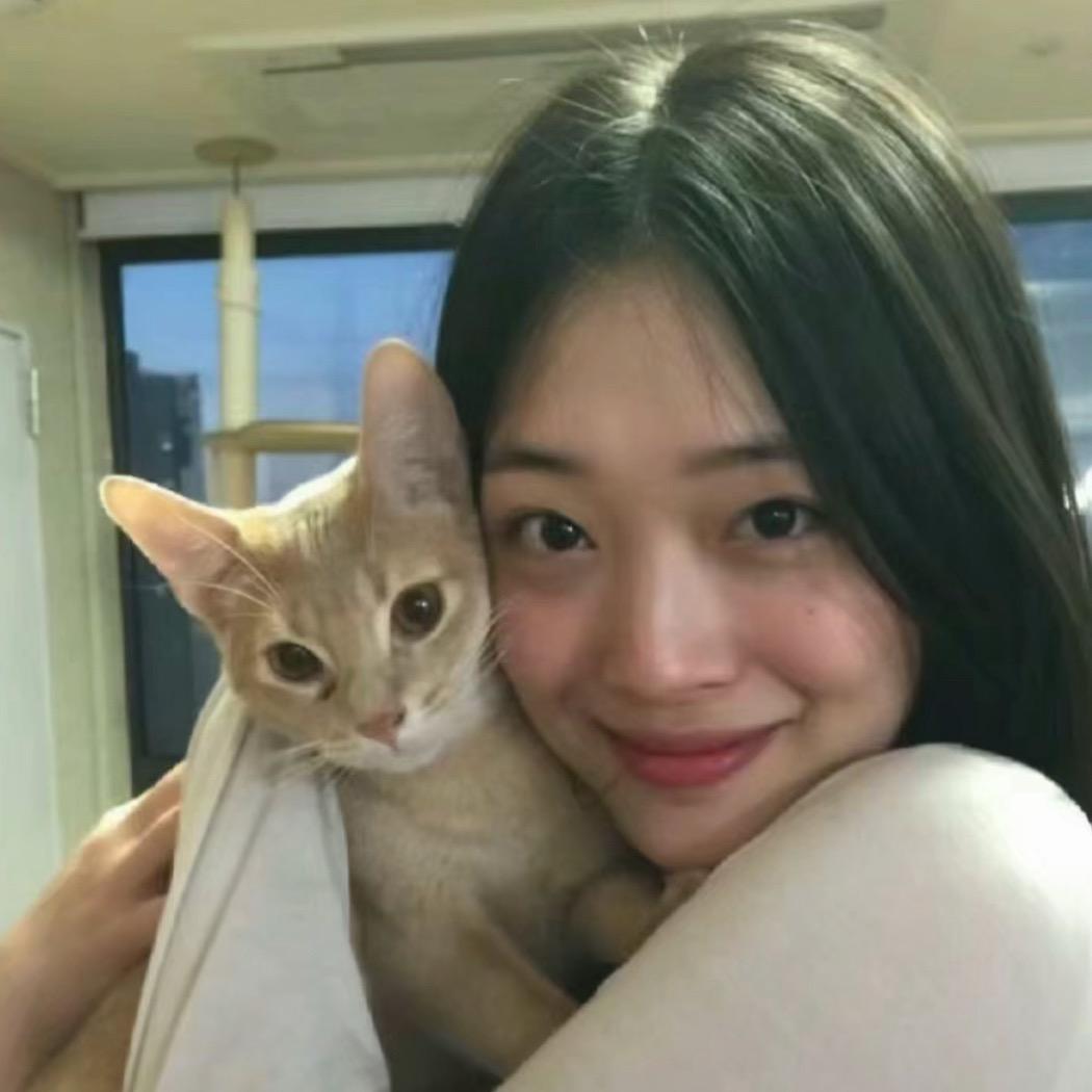 山茶花