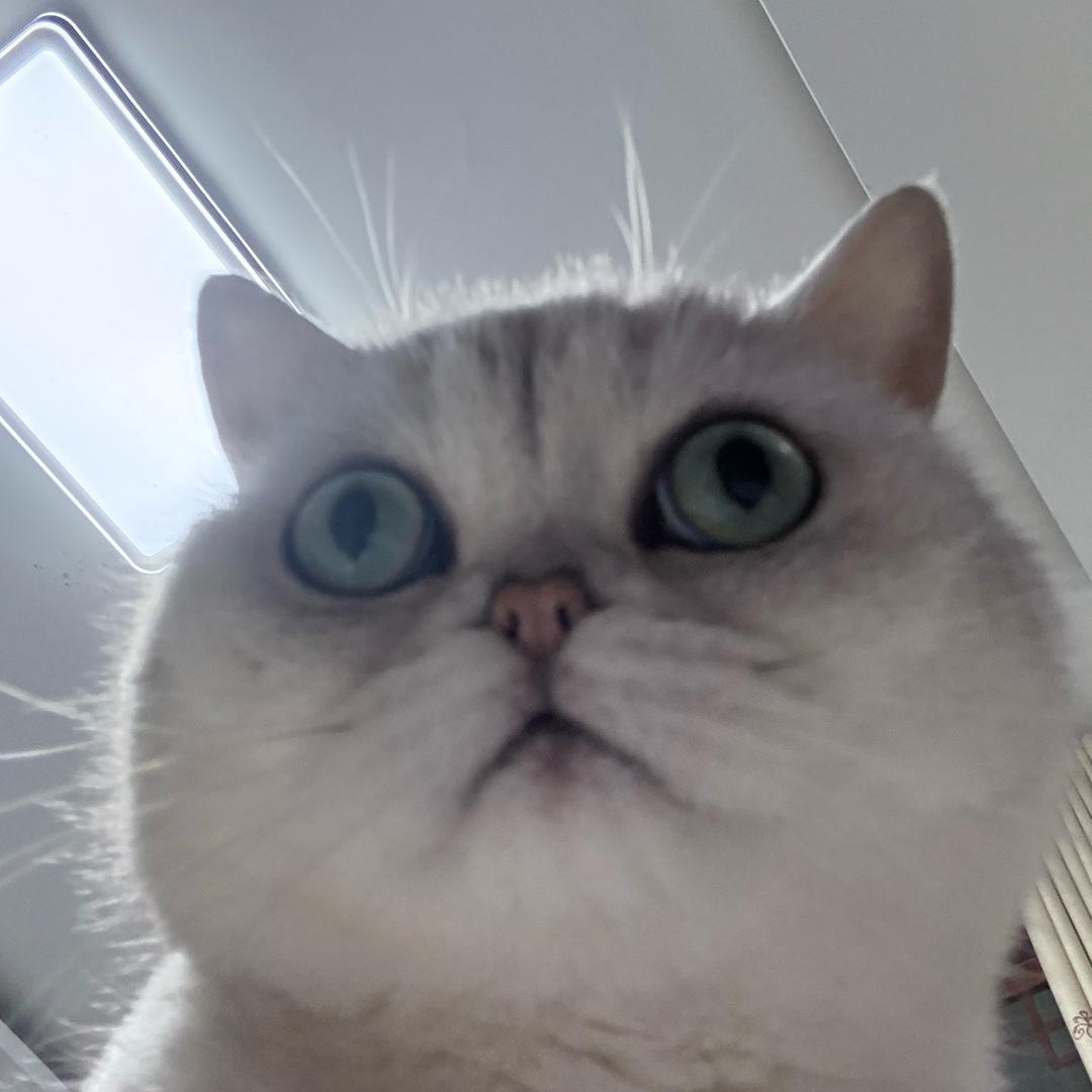 小林同学🧑‍🎓