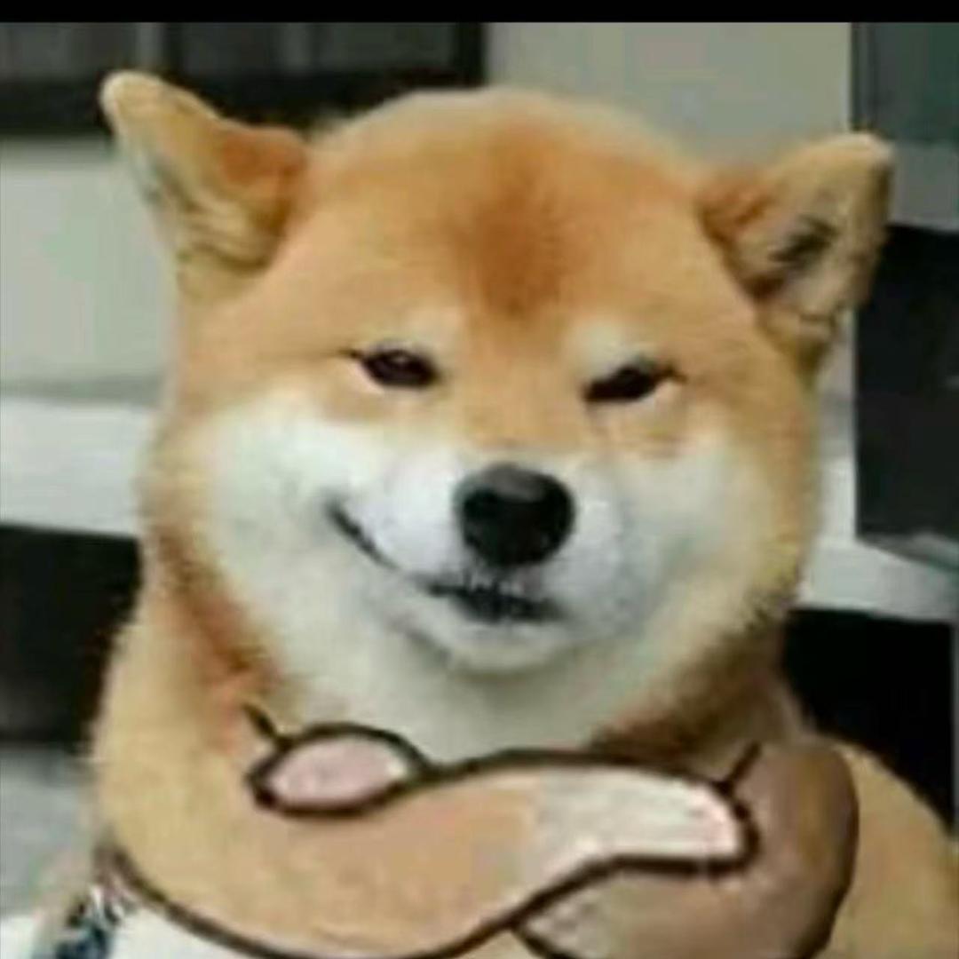 宝宝