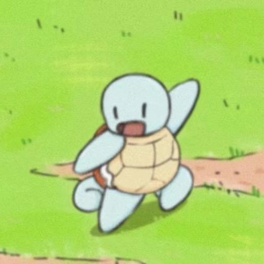 抱走小乌龟🐢