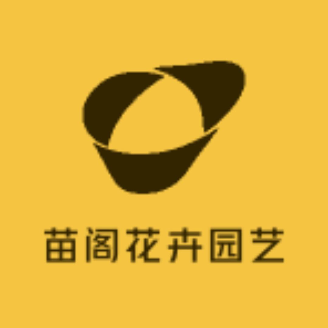 70568740001