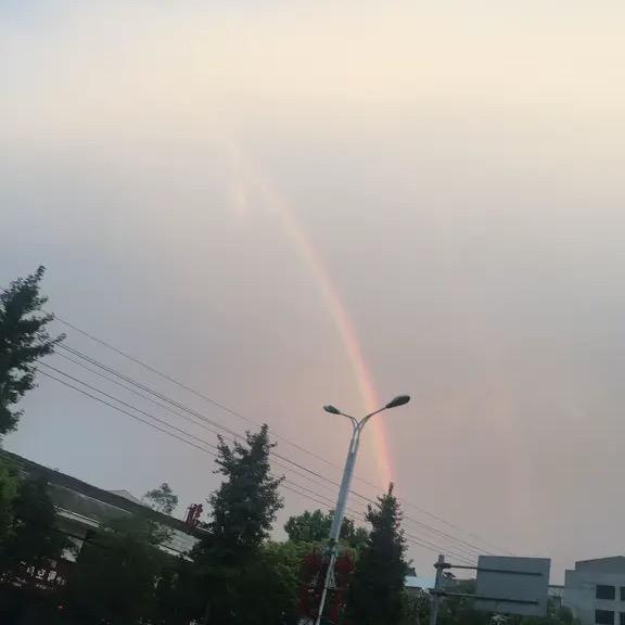 嘟嘟下