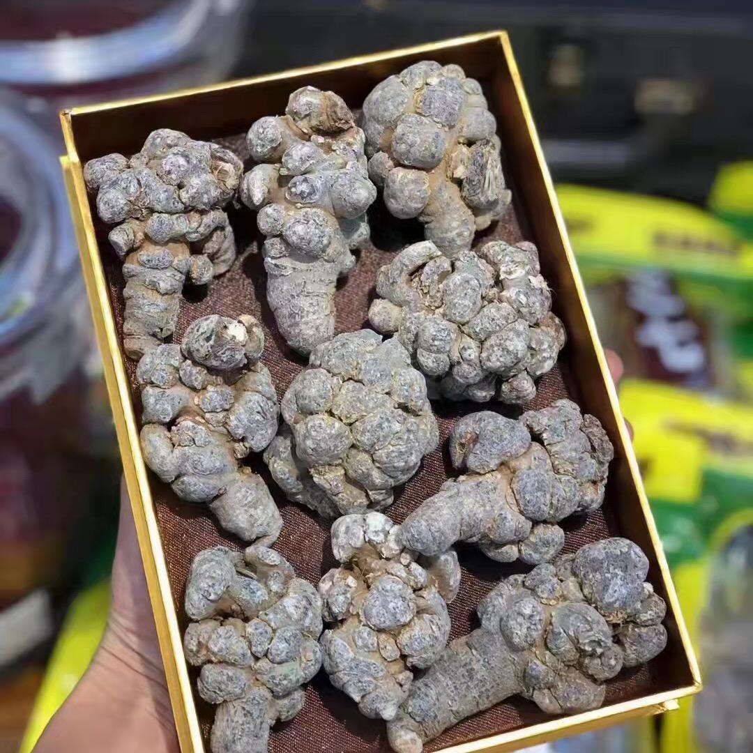 云南文山三七哥