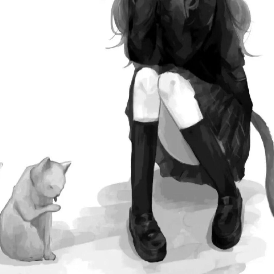 菁