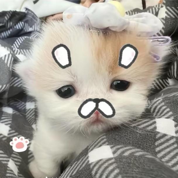 我就一个莹