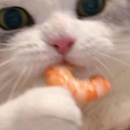 我不是受气包