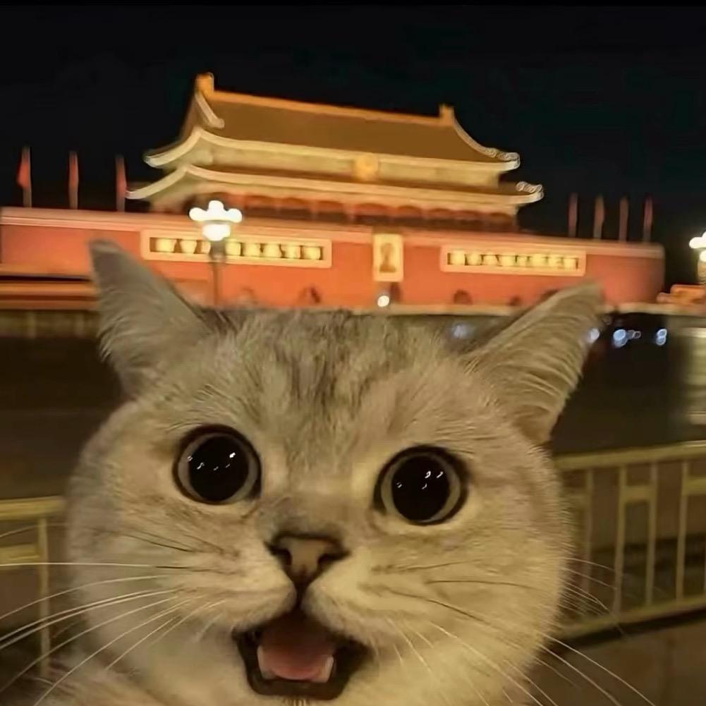 睡个好觉.
