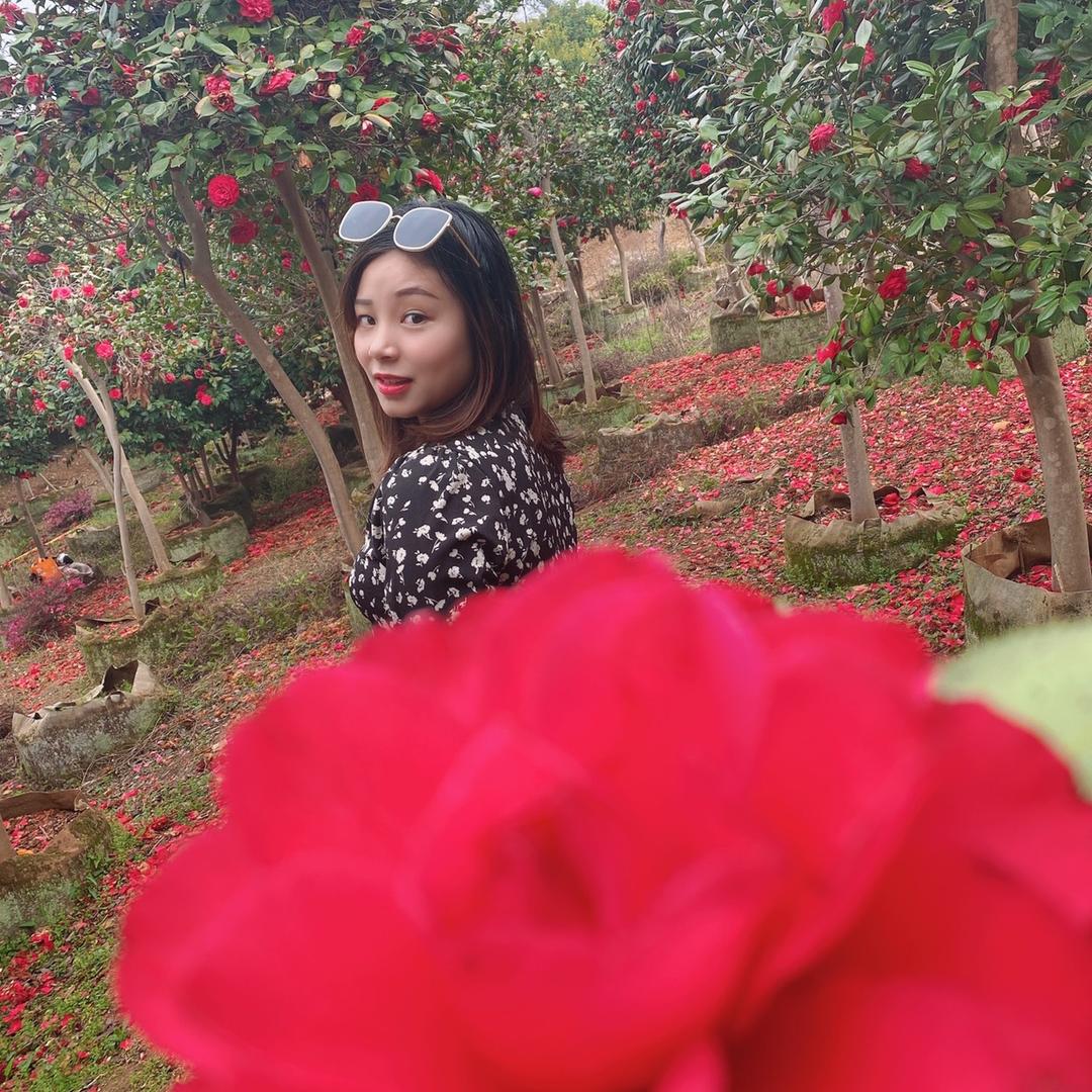 🌷 夕颜💐💐