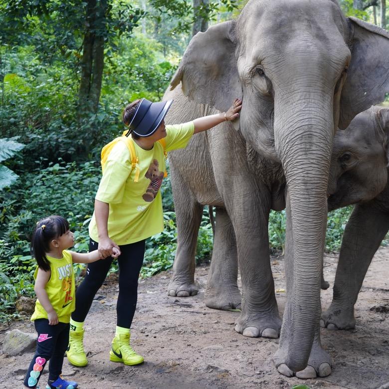 西双版纳萤火虫旅行@抖音