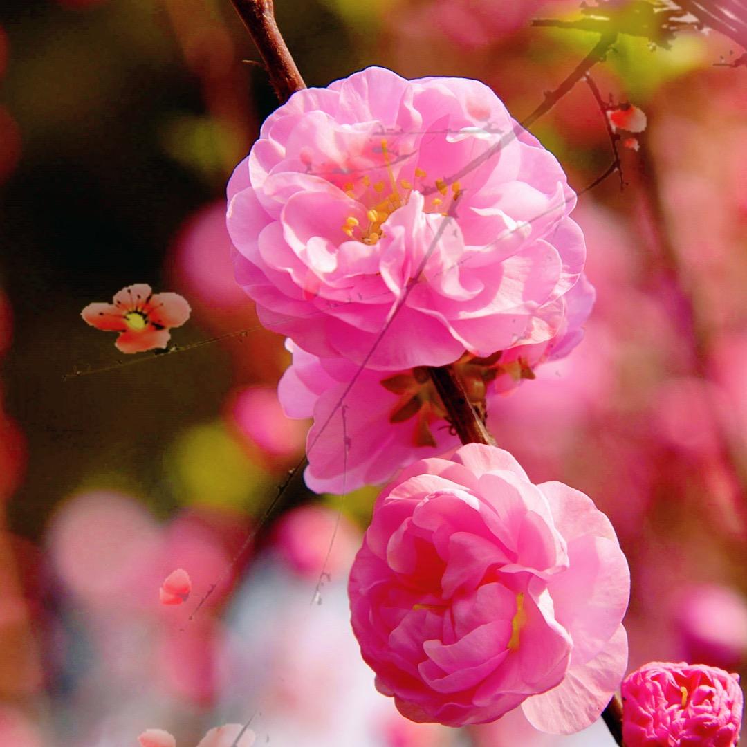 娇安老师爱分享