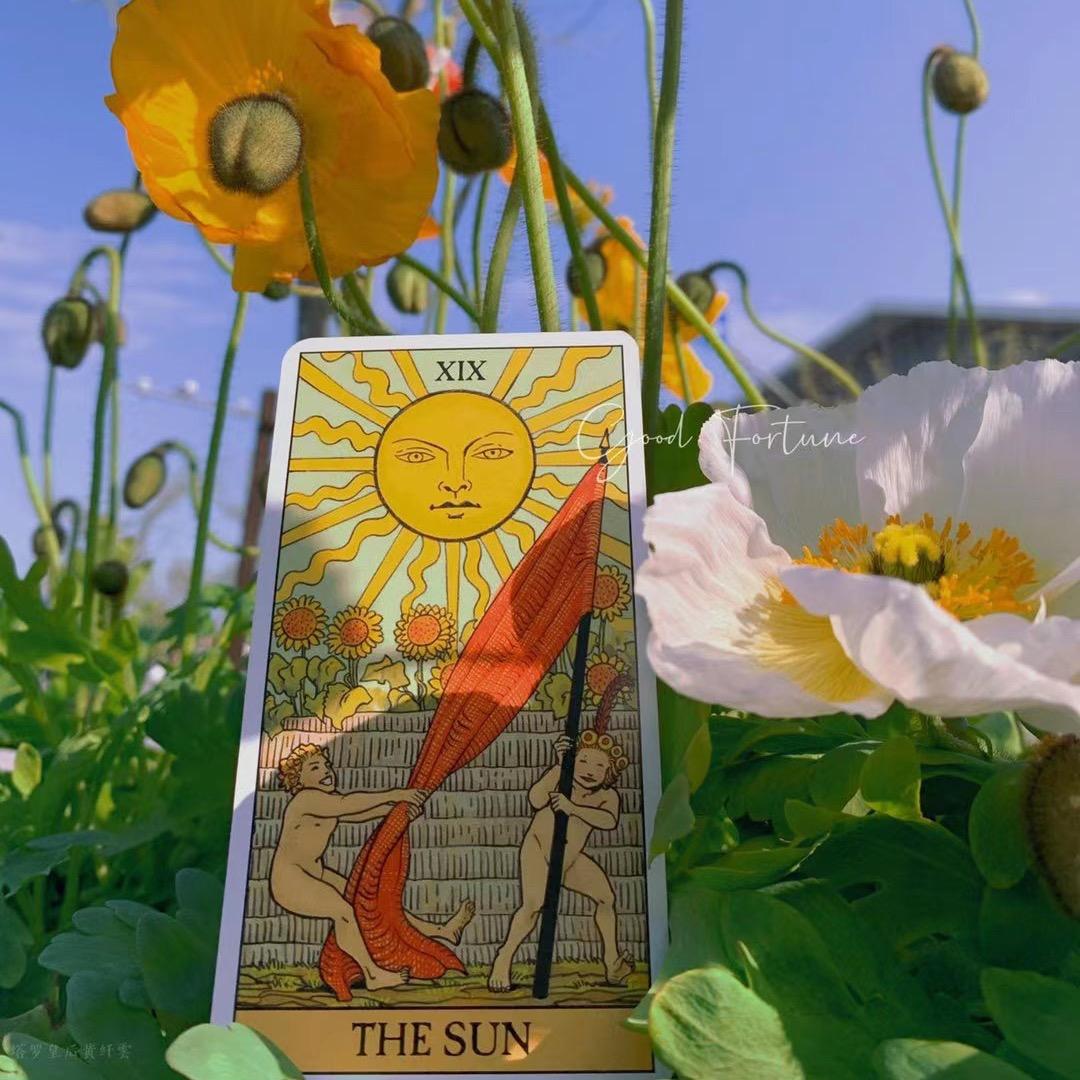 玄象塔罗（泓逍齐行）