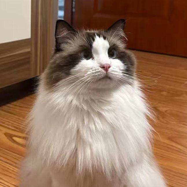 阿潜