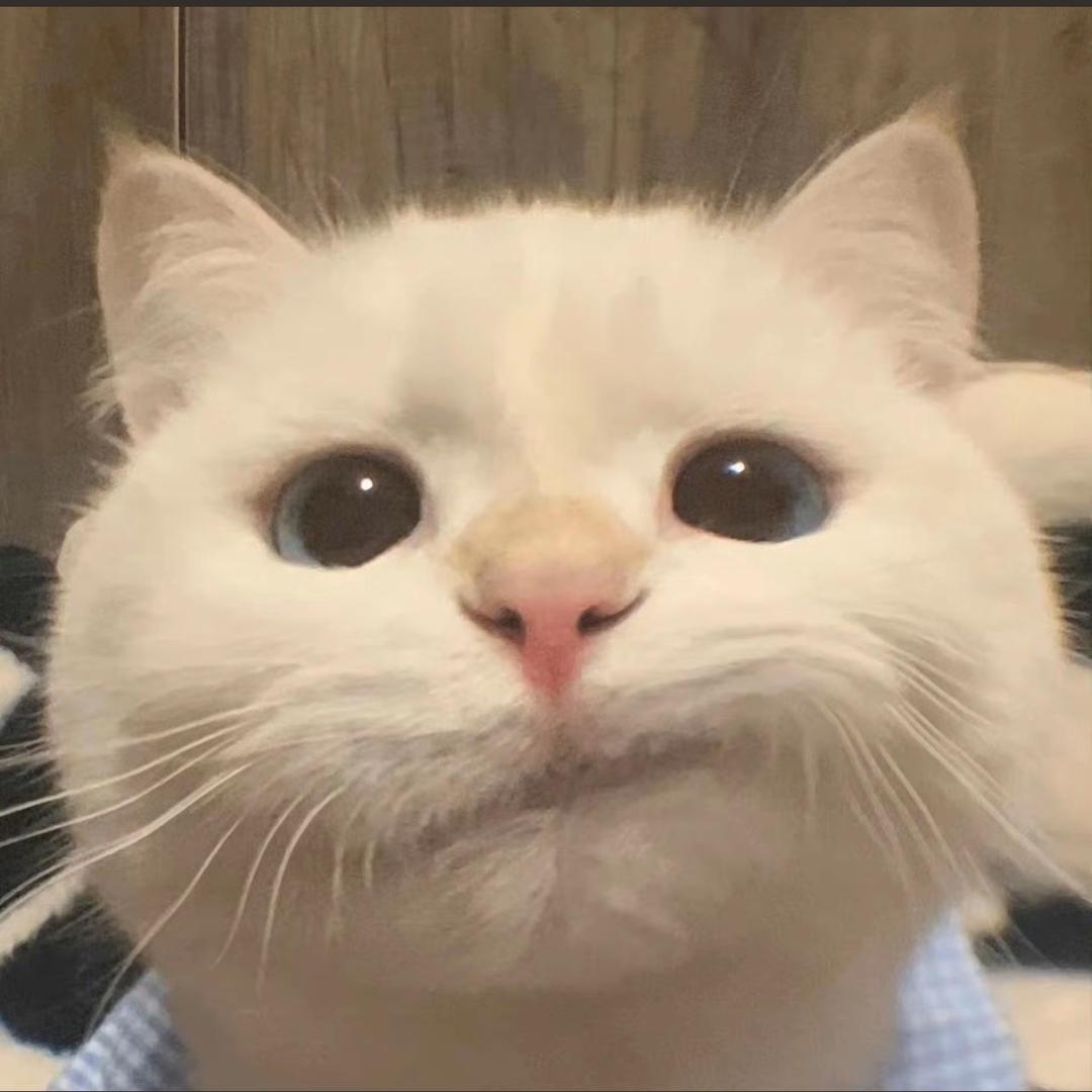 孙森森