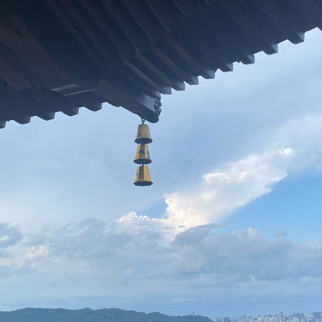 葡萄柚🌲