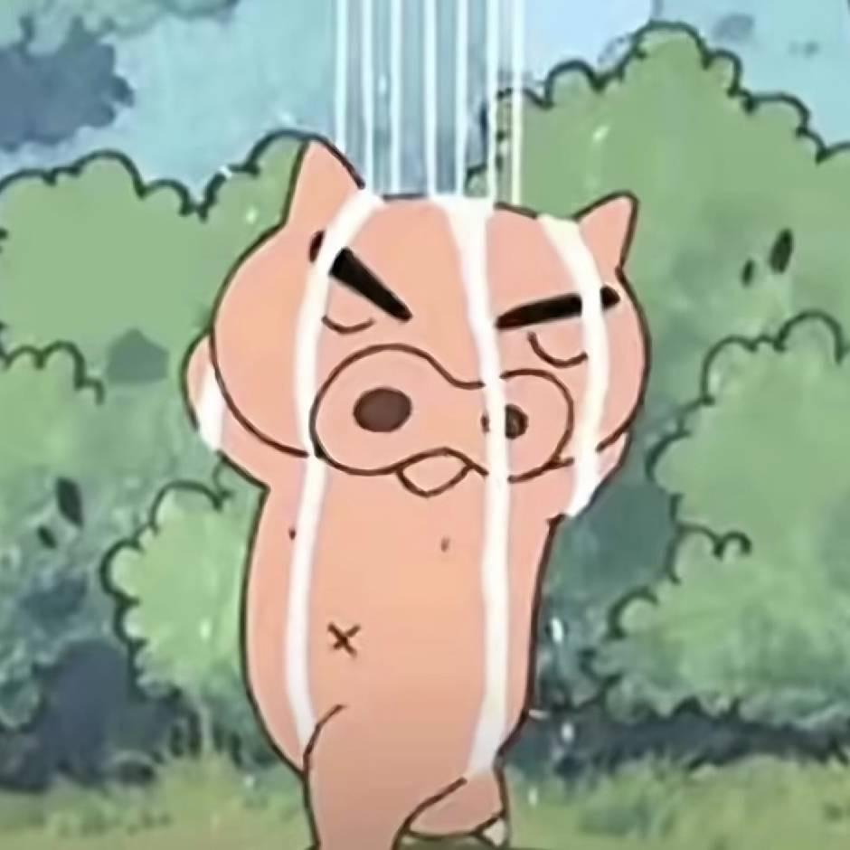 长沙学车🚗小畅