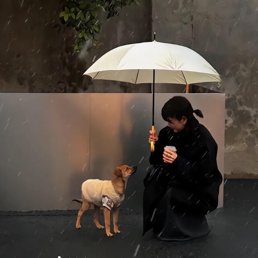 又困了大王.