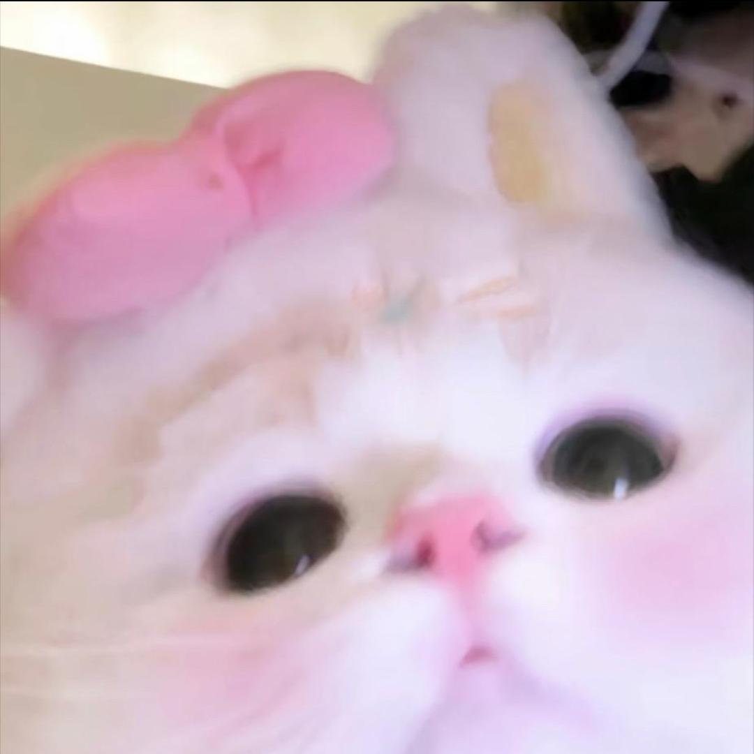 电子淤青