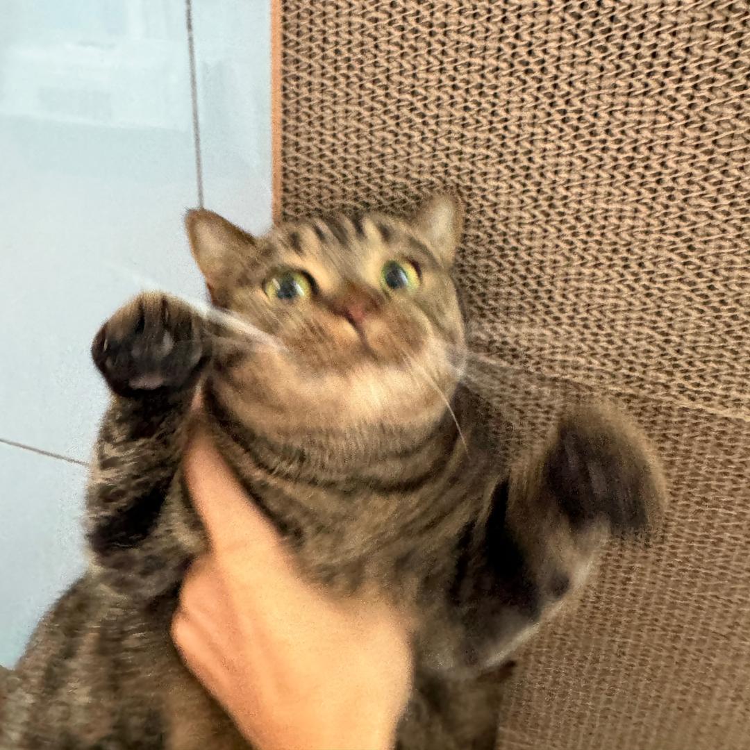 元旦吖〽️
