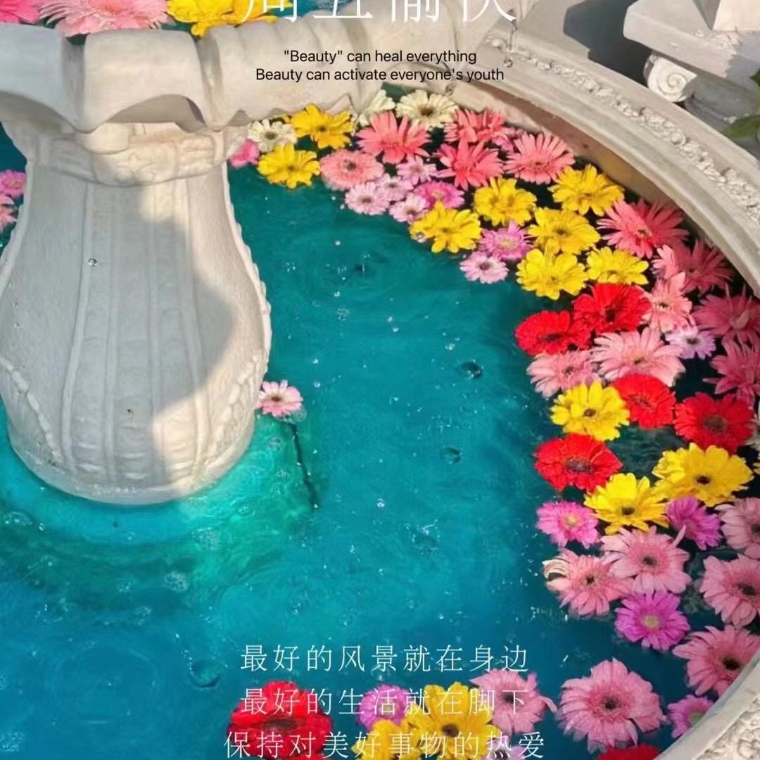 💦洋洋蒙蒙