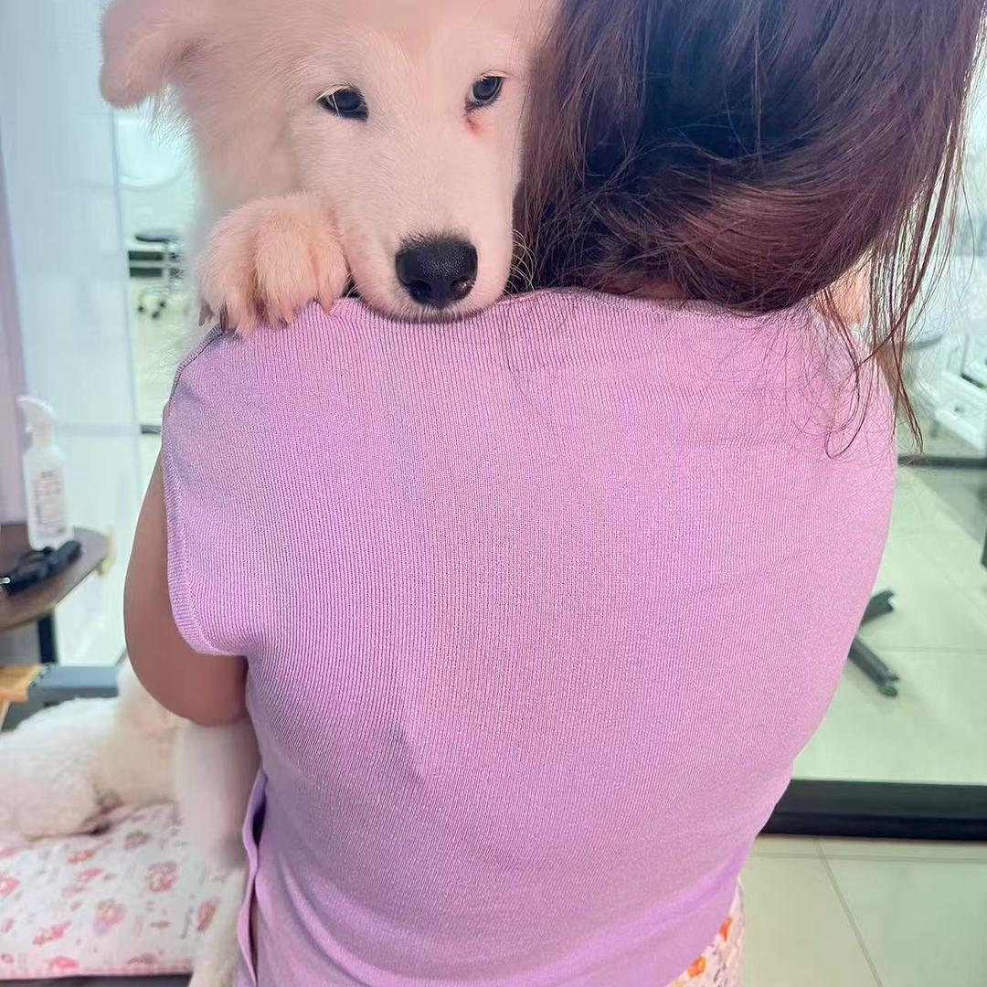 🌸   风车车~😋
