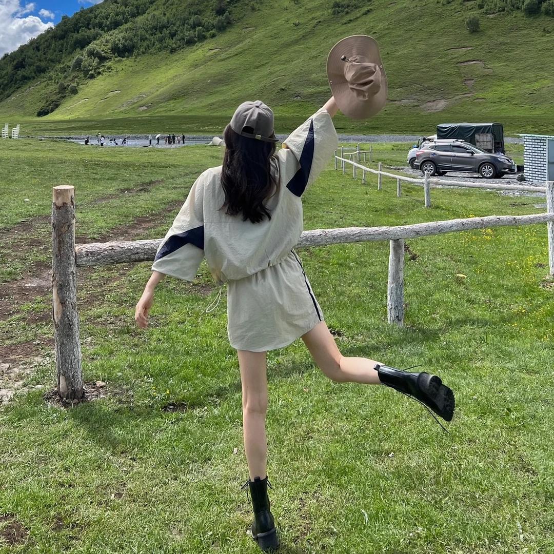 卷卷杨几只