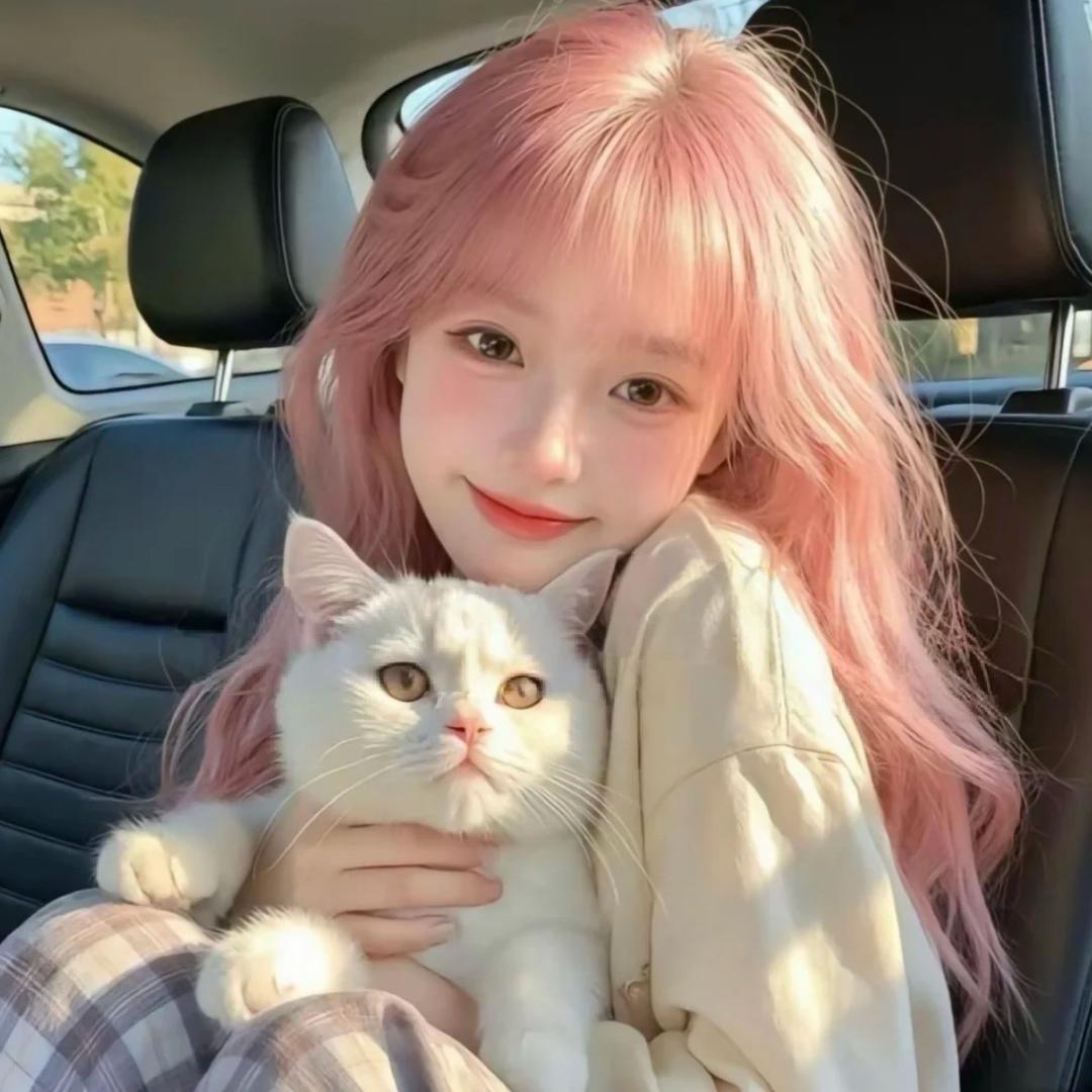 🍰•ᴗ•小喵碎碎冰