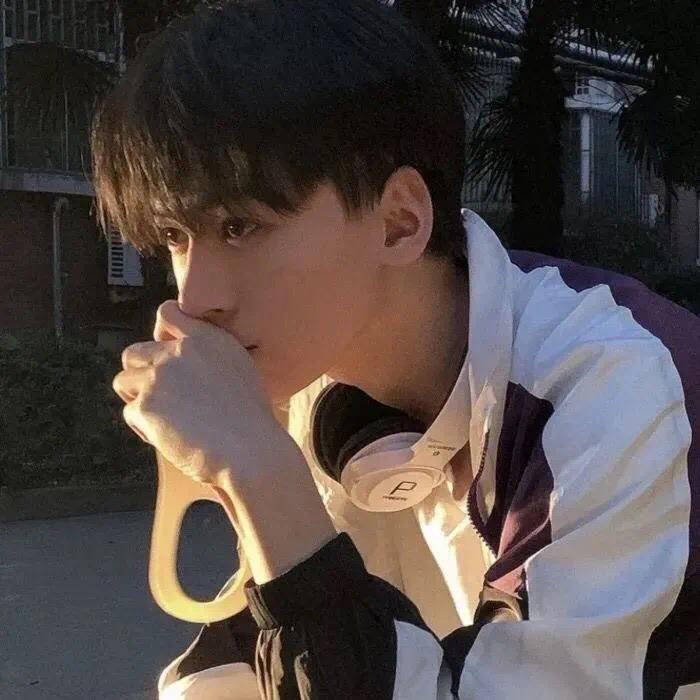 喵喵🐱