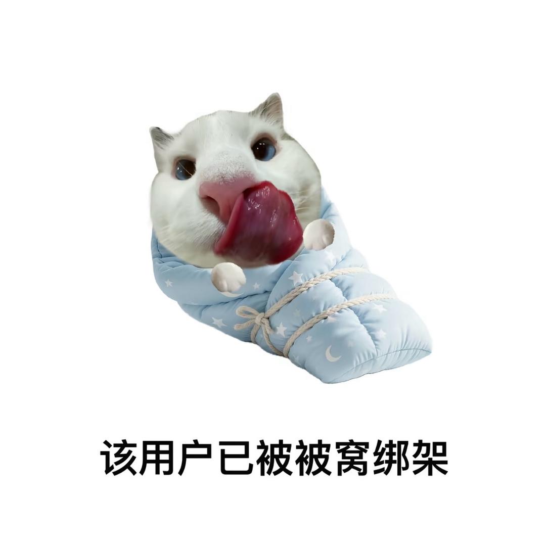 雪球不吃糖炒栗子