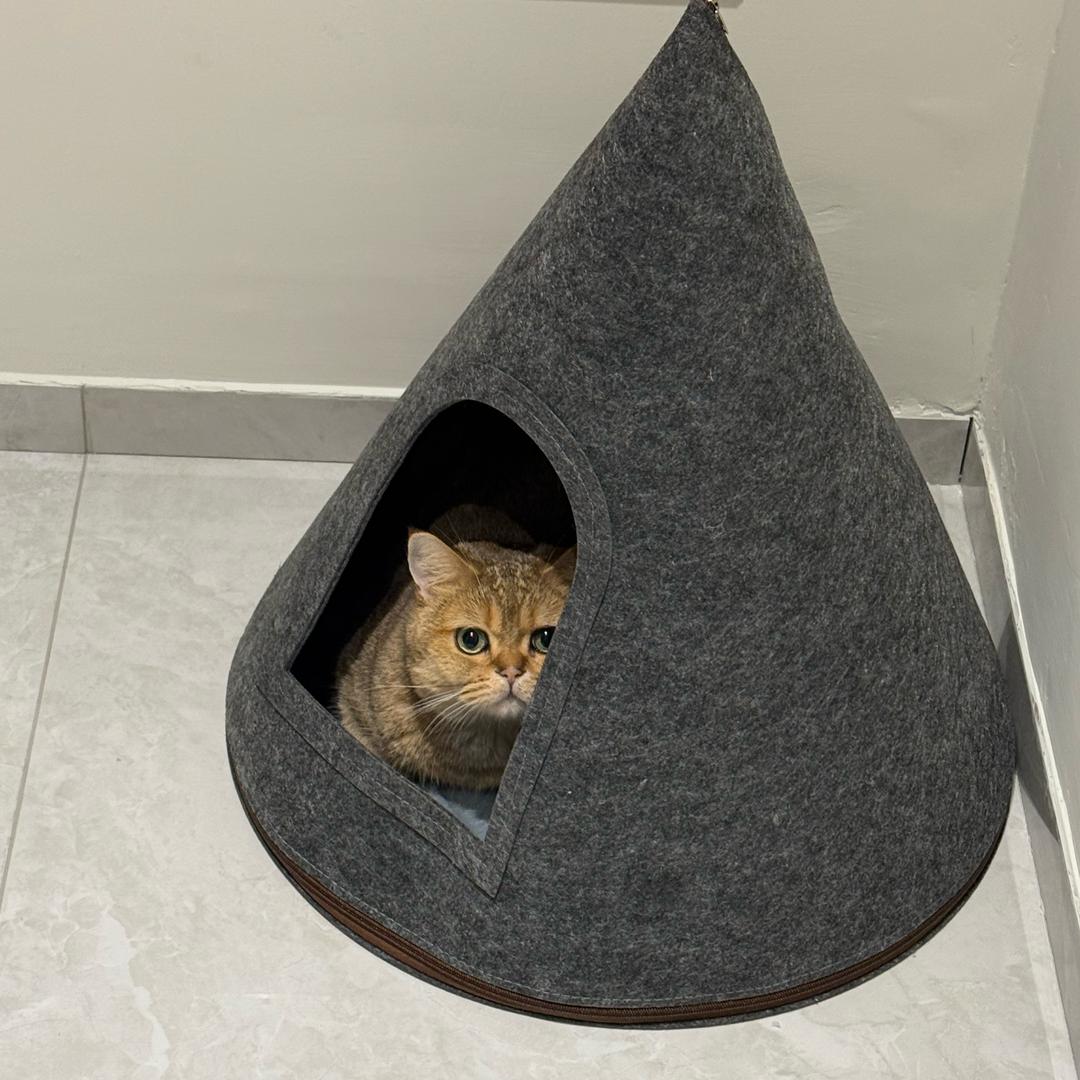 蜡笔小欣ど⁰꒨⁰う～