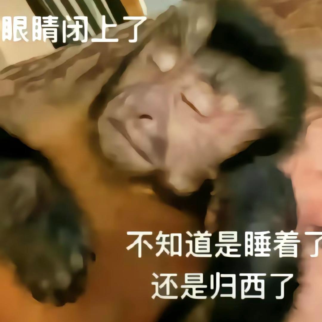 飞天母猪精