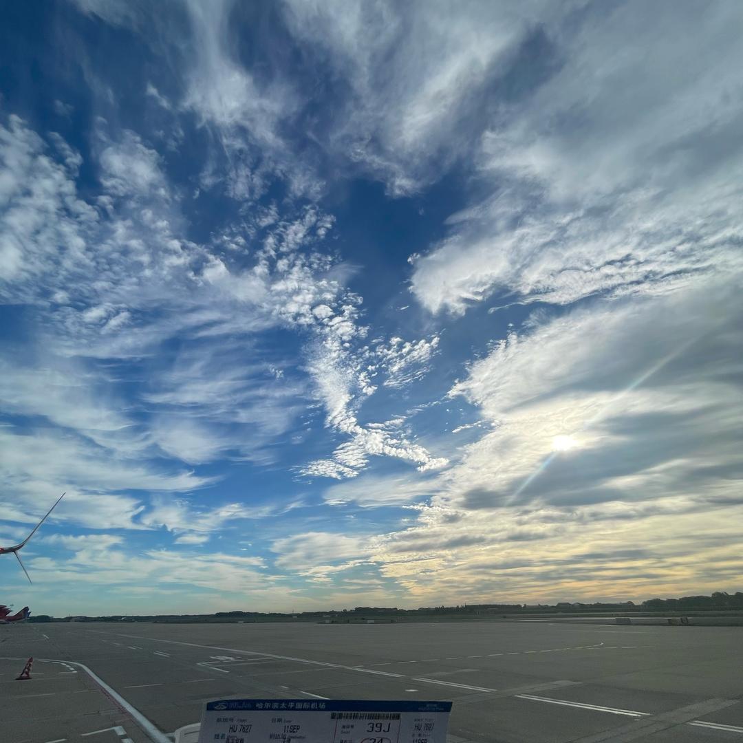 向僵尸开炮 张张