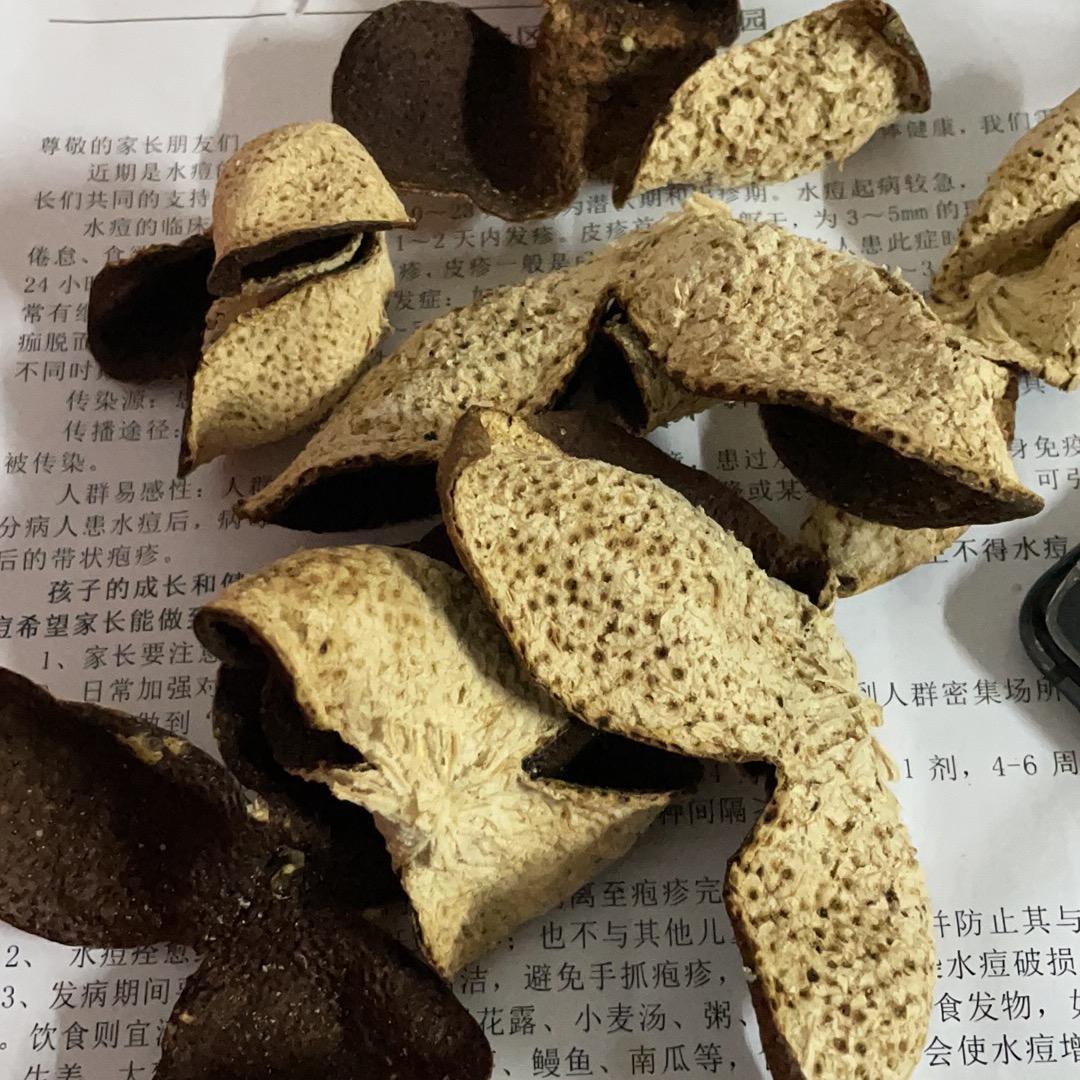 忘了他，我种新会柑养你