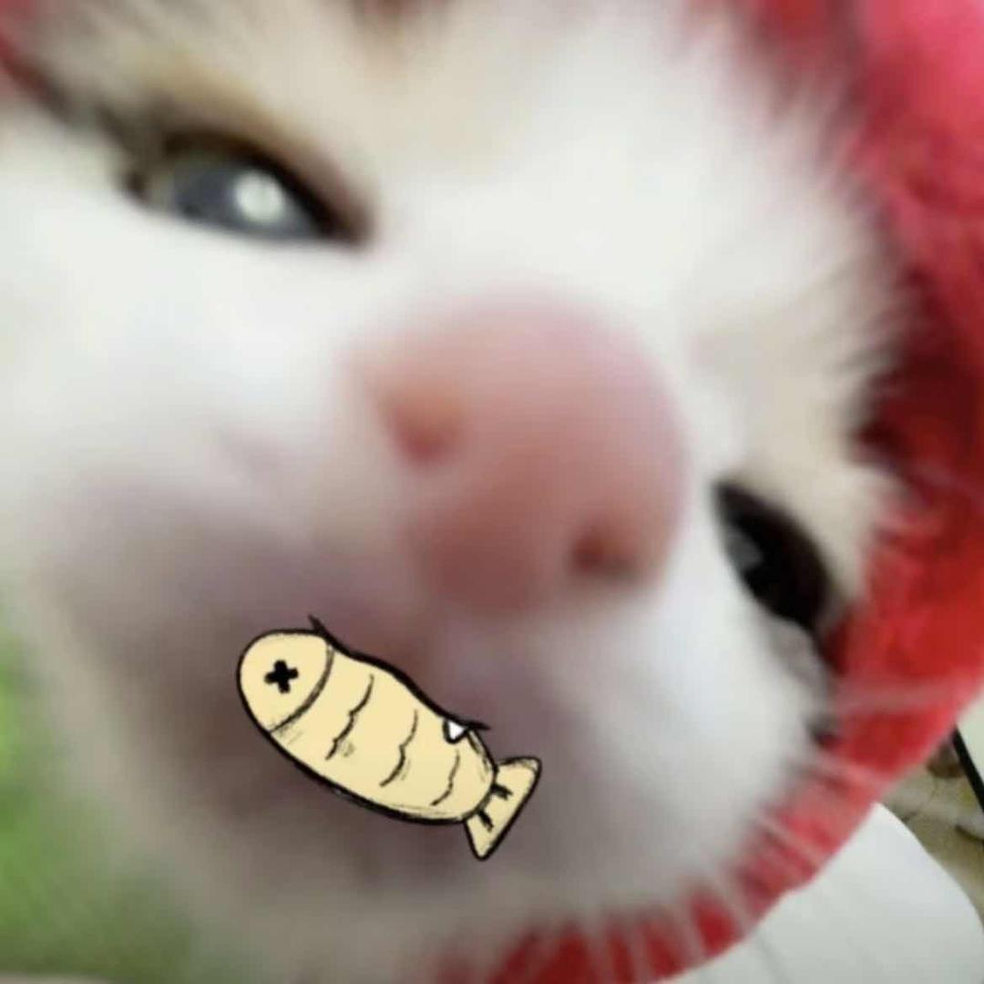 Wan1