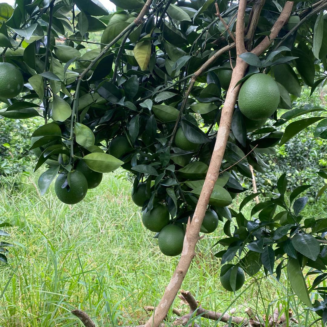 未来的生活💘💘