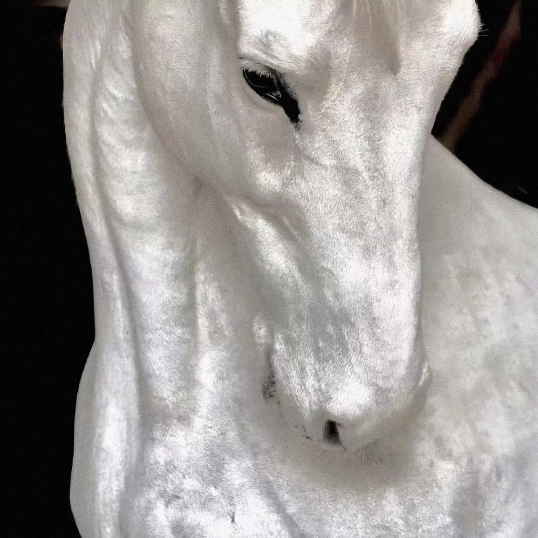 小乌龟
