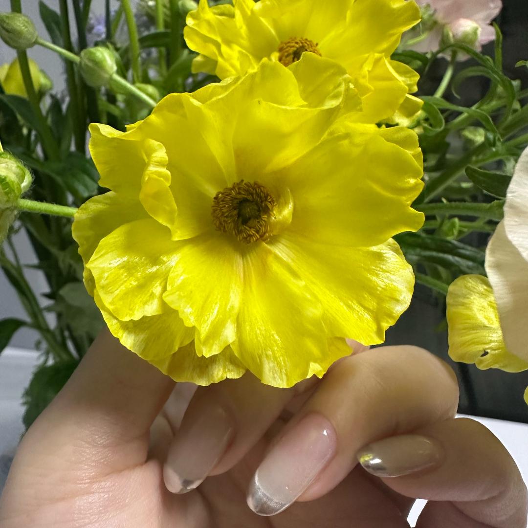 雪雪的好物分享