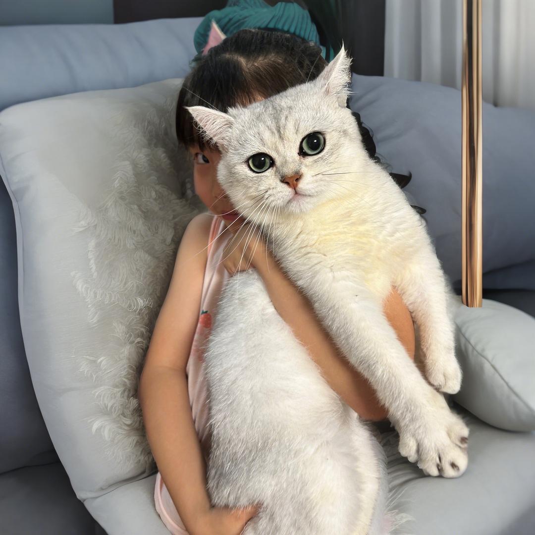 金豆妈妈