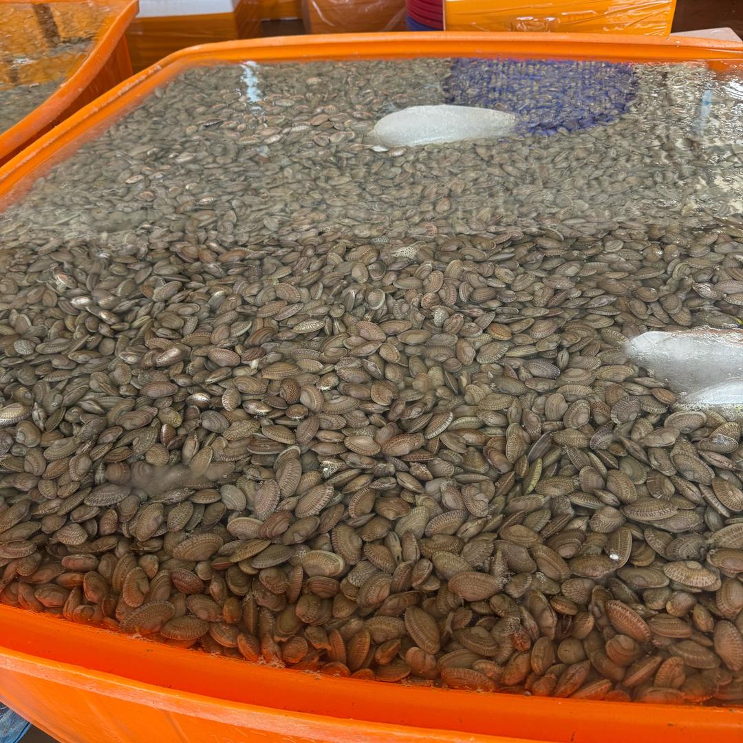 福建云霄《列屿一级渔港码头》批发